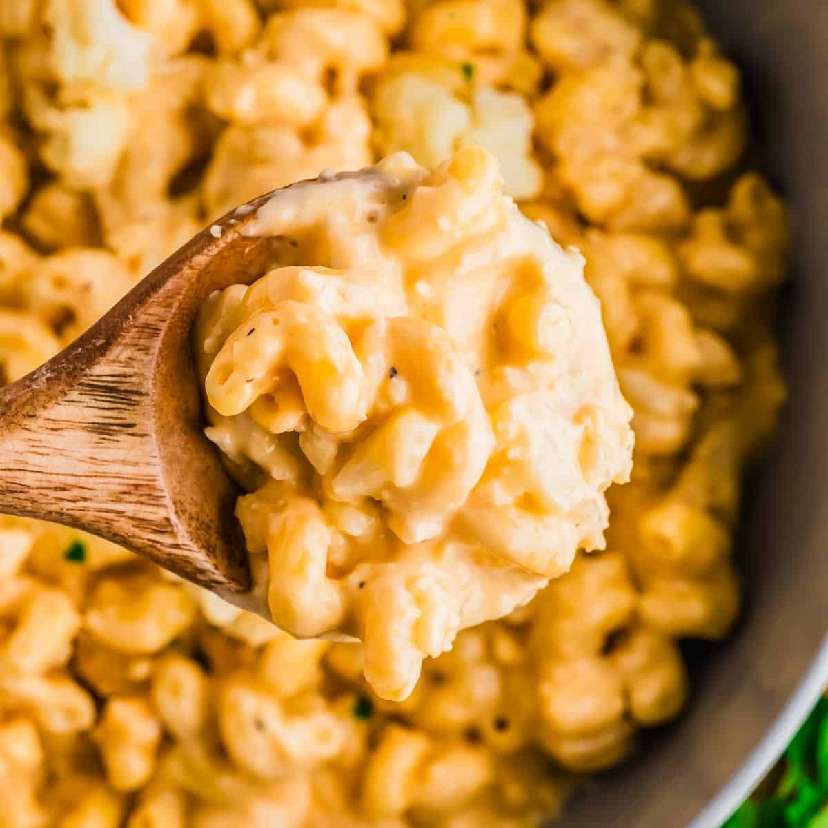 A wooden spoon holds a serving of creamy cauliflower macaroni and cheese above a pot filled with more macaroni and cheese. The sauce is rich and thick, coating the pasta evenly.