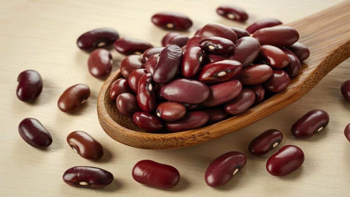 A wooden spoon filled with raw red kidney beans, a surprising omega-3 source, with more beans scattered on a light wooden surface.
