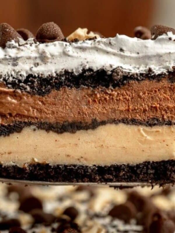 A close-up of a layered ice cream cake slice with chocolate, vanilla, and cream layers, topped with whipped cream and chocolate chips—an irresistible no bake dessert being held above the rest of the cake.