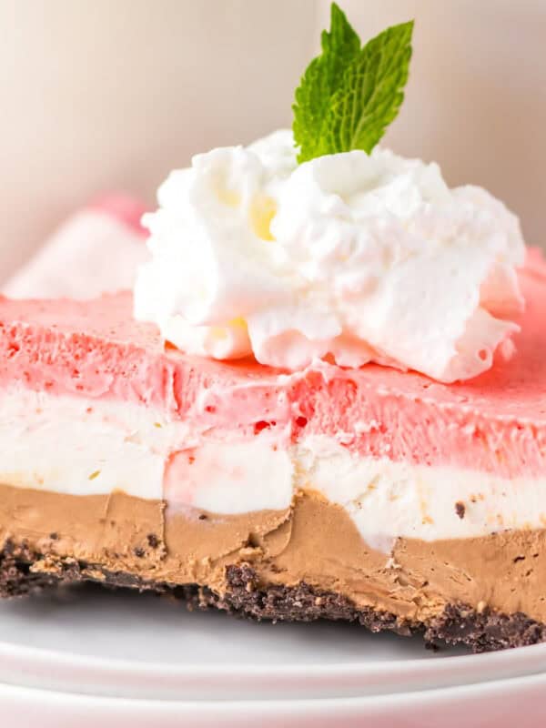 A slice of layered no bake dessert with a chocolate crust, chocolate and vanilla creamy layers, topped with a pink layer, whipped cream, and a mint leaf, served on a white plate—perfect for fans of delicious desserts.