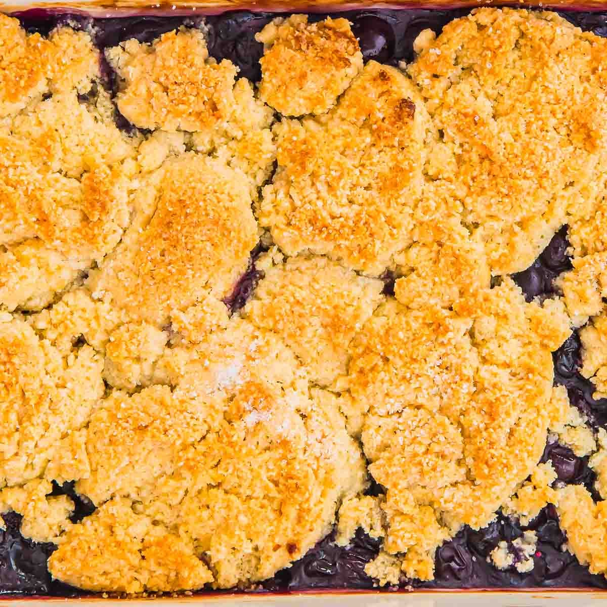 A close-up of a freshly baked blueberry cobbler in a rectangular dish, topped with a golden, crumbly biscuit topping and bubbling blueberry filling visible underneath.
